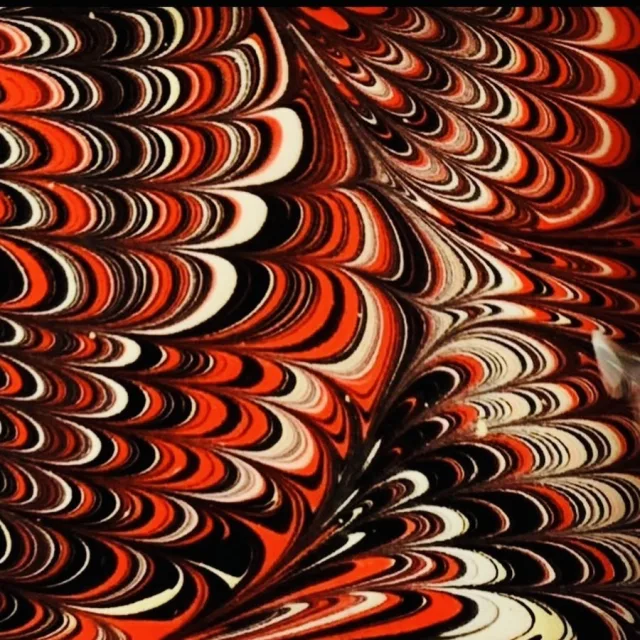 Berk Gürman fotoğrafı